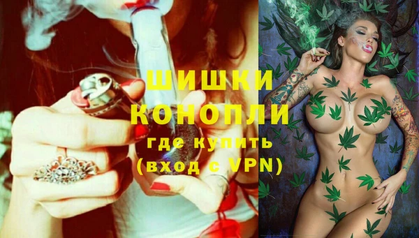 шишки Краснослободск