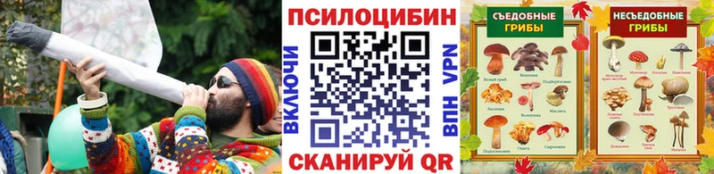 Купить где  Вельск  Псилоцибиновые грибы мицелий 